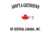 Tablet Screenshot of adopt-a-greyhound.com